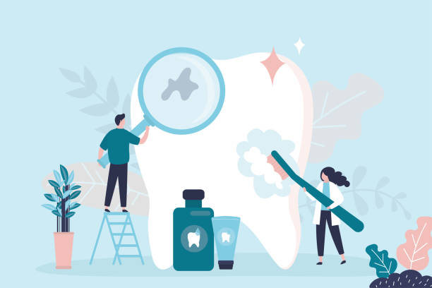 Best Preventive Dentistry  in Sugarmill Woods, FL